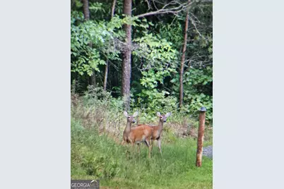 114 Aaron Drive, Toccoa, GA 30577 - Photo 64