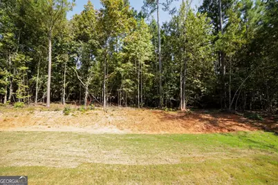 1650 Northwoods Drive, Greensboro, GA 30642 - Photo 38