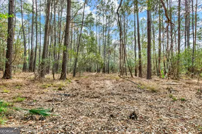 199 Burton Road, Savannah, GA 31405 - Photo 18