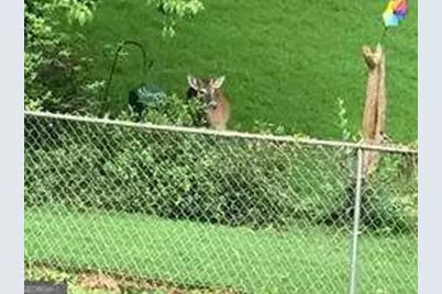 1558 Womack Road, Atlanta, GA 30338 - Photo 16