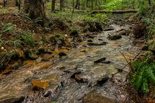 52 Hilary Ct, Ellijay, GA 30540 - Photo 56