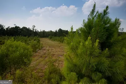 32 Oyster Flats Wynd, Brunswick, GA 31523 - Photo 62