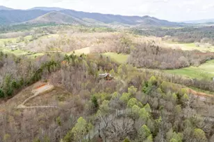 136 Pack Creek Rd, Blue Ridge, GA 30513 - Photo 12