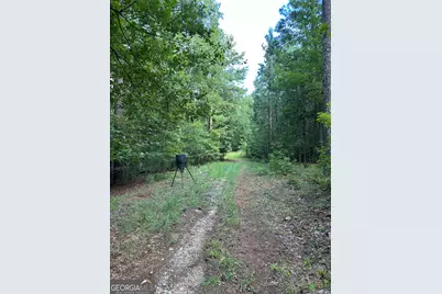 2470 Fears Road, Madison, GA 30650 - Photo 44