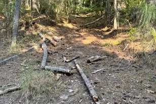 1949 Deerwood Pl, Macon, GA 31211 - Photo 1