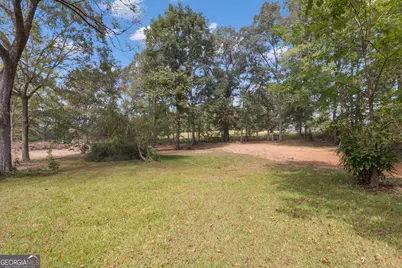 195 Mapledale Trail, Sharpsburg, GA 30277 - Photo 58