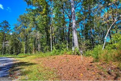 Lt 34 Hilton Drive, Ellijay, GA 30540 - Photo 10