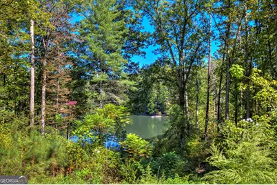 Lt 34 Hilton Drive, Ellijay, GA 30540 - Photo 6