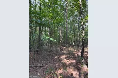 93.49 Acres Forrest Road, Grantville, GA 30220 - Photo 28