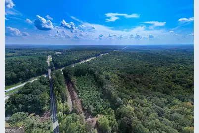 93.49 Acres Forrest Road, Grantville, GA 30220 - Photo 6