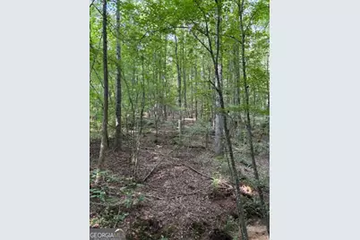 93.49 Acres Forrest Road, Grantville, GA 30220 - Photo 26
