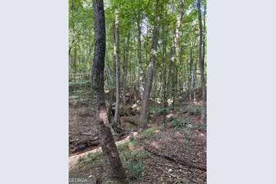 93.49 Acres Forrest Road, Grantville, GA 30220 - Photo 20