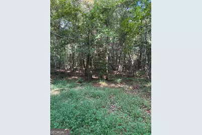 93.49 Acres Forrest Road, Grantville, GA 30220 - Photo 18