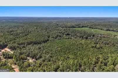 0 Mountain Springs Road, Macon, GA 31217 - Photo 18