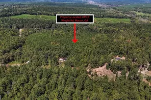 0 Mountain Springs Rd, Macon, GA 31217 - Photo 6