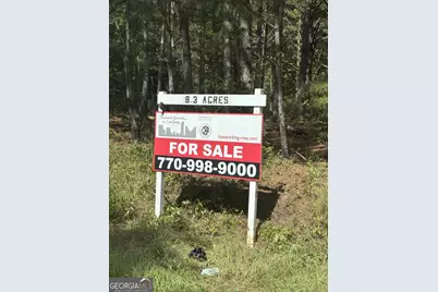 0 Broad Street, Tallapoosa, GA 30176 - Photo 6