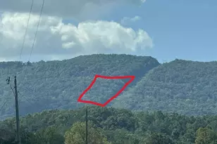 0 W Hwy 136 Hwy, Rising Fawn, GA 30738 - Photo 1