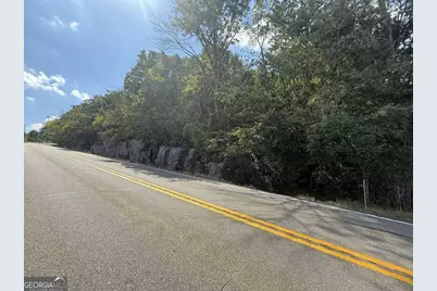 0 W Highway 136 Highway, Rising Fawn, GA 30738 - Photo 8