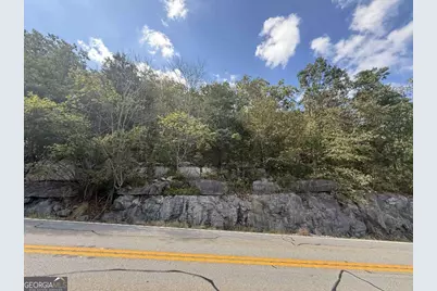 0 W Highway 136 Highway, Rising Fawn, GA 30738 - Photo 4