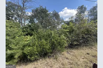 0 W Highway 136 Highway, Rising Fawn, GA 30738 - Photo 6