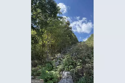 0 W Highway 136 Highway, Rising Fawn, GA 30738 - Photo 10