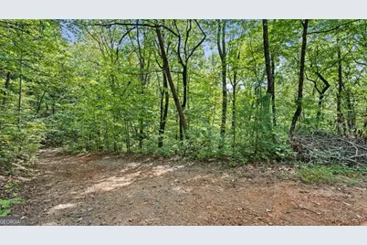 23 B Lake View Road, Cherrylog, GA 30522 - Photo 1