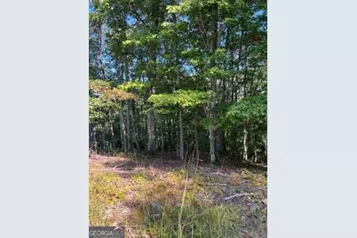 Lts 61 &amp; 62 Honeysuckle Way, Ellijay, GA 30540 - Photo 4