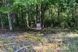 Lts 61 &amp 62 Honeysuckle Way, Ellijay, GA 30540 - Photo 1