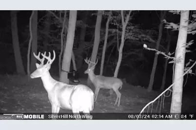 1542 Silver Hill Road, Stone Mountain, GA 30087 - Photo 32