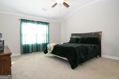 4282 South Hwy 29, Moreland, GA 30259 - Photo 18