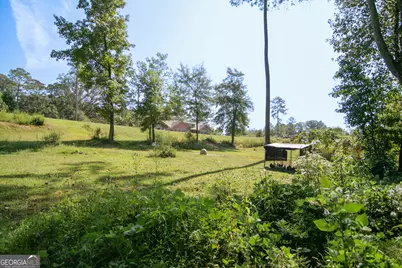 4282 South Hwy 29, Moreland, GA 30259 - Photo 58