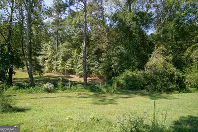4282 South Hwy 29, Moreland, GA 30259 - Photo 54