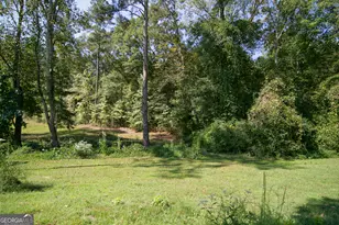 4282 South Hwy 29, Moreland, GA 30259 - Photo 54