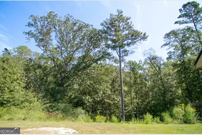 4282 South Hwy 29, Moreland, GA 30259 - Photo 60