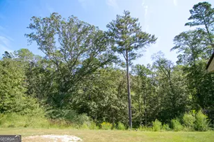 4282 South Hwy 29, Moreland, GA 30259 - Photo 60