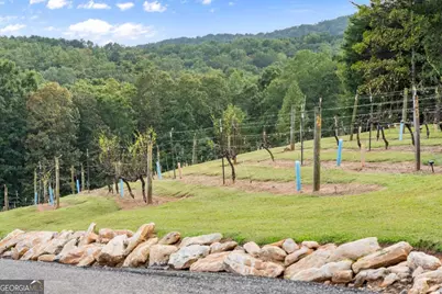 62 High Ridge, Cleveland, GA 30528 - Photo 56