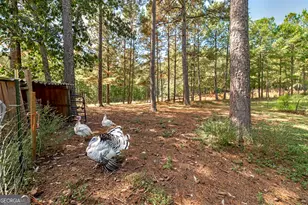 447 Grandview Rd, Mansfield, GA 30055 - Photo 24