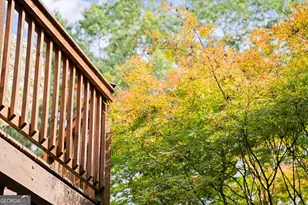 994 Whispering Pne Ln, Cherrylog, GA 30522 - Photo 42