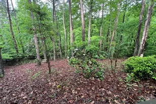 195 Kinwood Trail, Murphy, NC 28906 - Photo 12