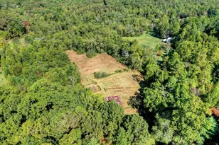 154 Foggy Meadow Dr, Blairsville, GA 30512 - Photo 32