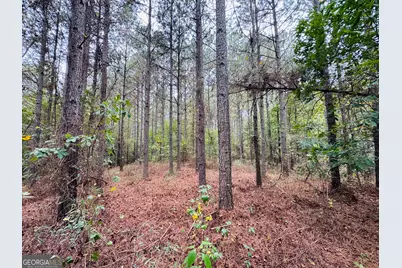 0 Cromer Road, Dewy Rose, GA 30634 - Photo 12