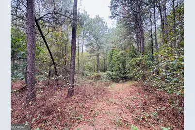 0 Cromer Road, Dewy Rose, GA 30634 - Photo 10