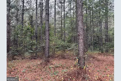 0 Cromer Road, Dewy Rose, GA 30634 - Photo 6