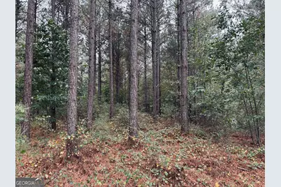 0 Cromer Road, Dewy Rose, GA 30634 - Photo 4
