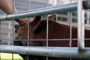 485 Beaver Kreek Rd, Douglas, GA 31533 - Photo 38