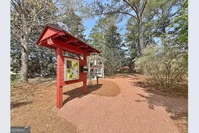 226 Collierstown Way, Peachtree City, GA 30269 - Photo 62