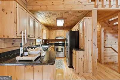 100 Wintermute Drive, Mineral Bluff, GA 30559 - Photo 30