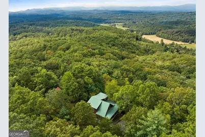 100 Wintermute Drive, Mineral Bluff, GA 30559 - Photo 14