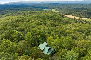 100 Wintermute Dr, Mineral Bluff, GA 30559 - Photo 14