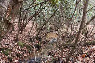 691 Mitchell Br Rd, Morganton, GA 30560 - Photo 72